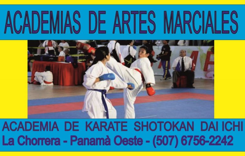 Escuelas de karate